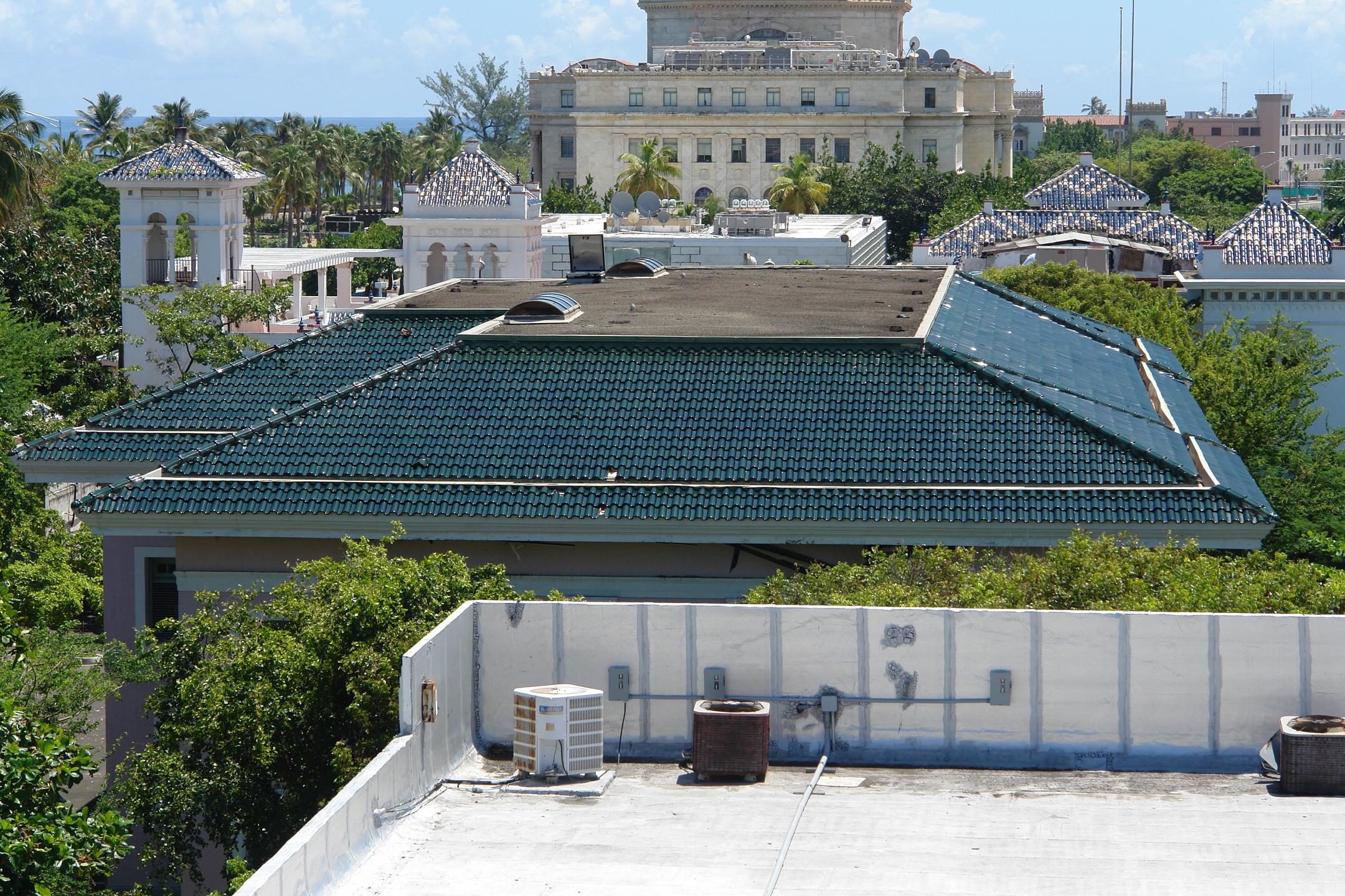 Biblioteca Carnegie - San Juan (Puerta de Tierra) - 2011  00006